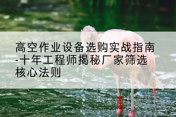 荔浦剪叉式升降机厂家-高空作业设备选购实战指南-十年工程师揭秘厂家筛选核心法则
