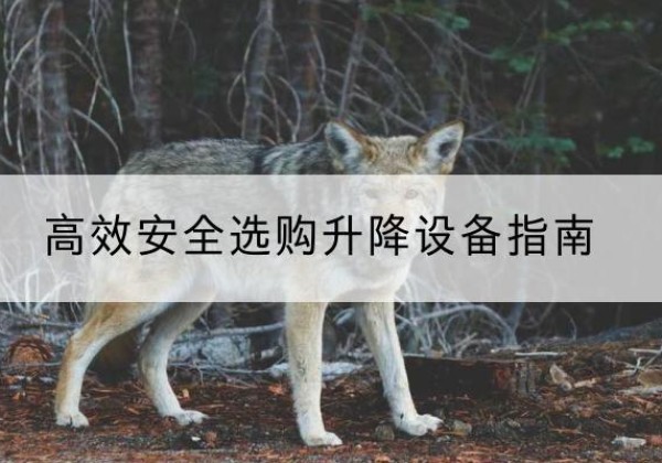 荔浦升降货梯厂家推荐-*安全选购升降设备指南