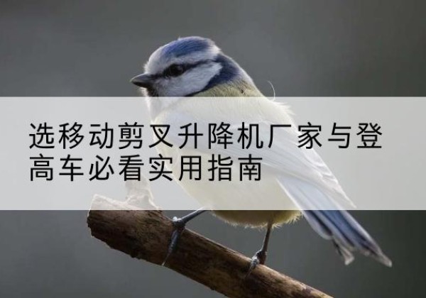 荔浦电动升降机厂家-选移动剪叉升降机厂家与登高车必看实用指南