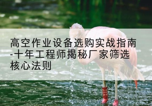 荔浦剪叉式升降机厂家-高空作业设备选购实战指南-十年工程师揭秘厂家筛选核心法则